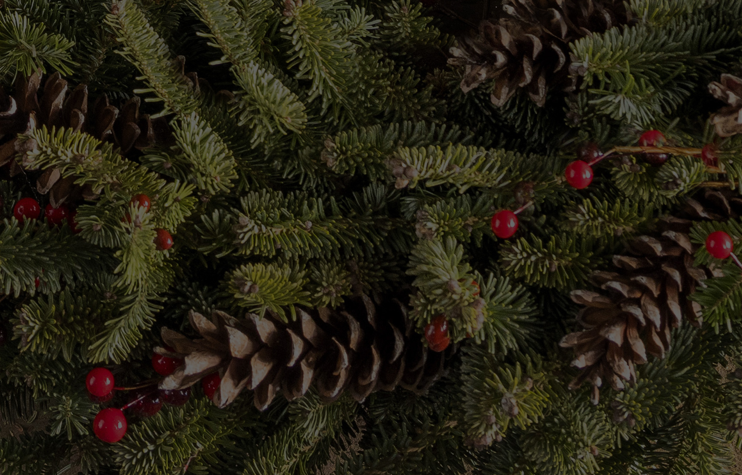 darkened close-up of an Advent wreath