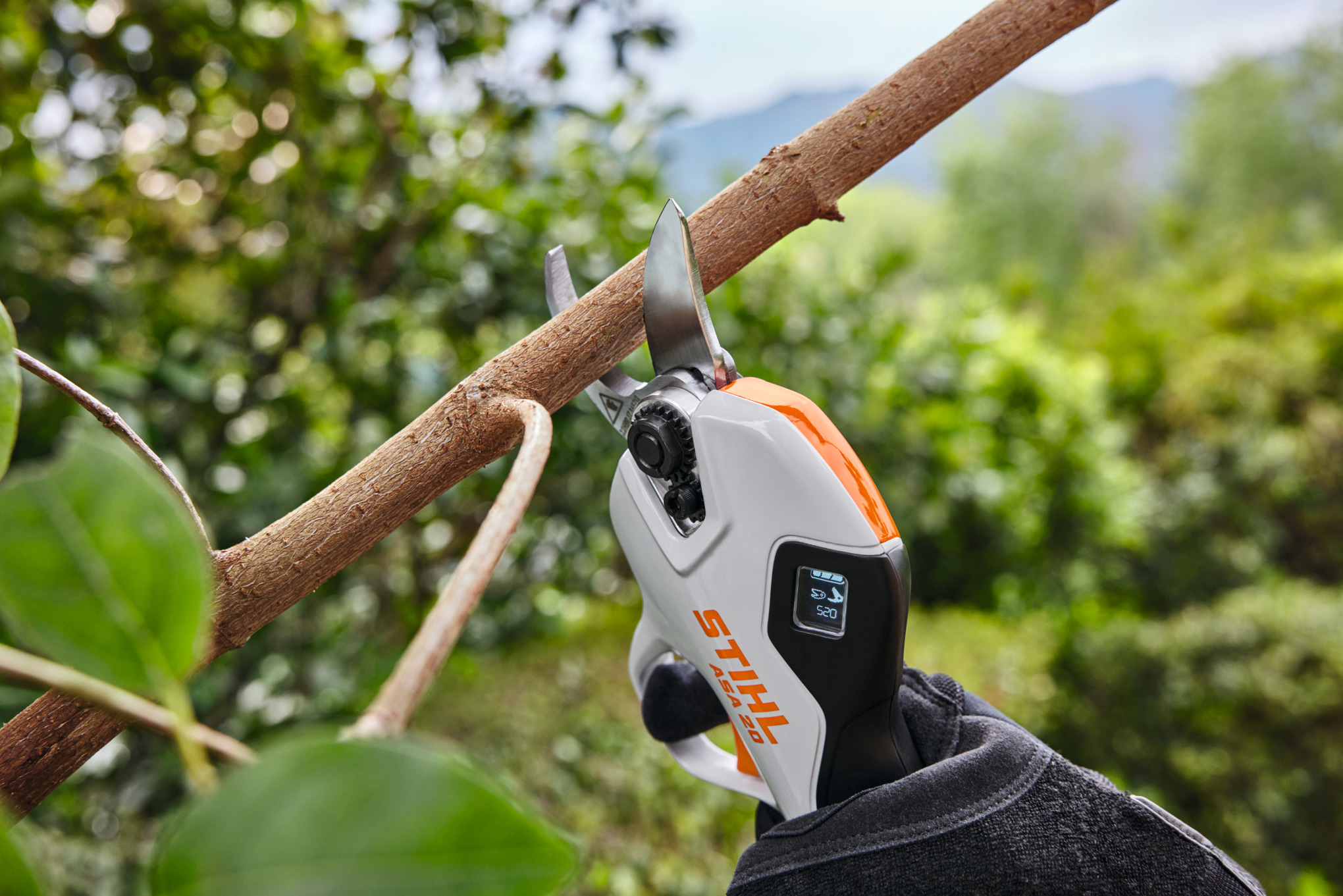 ASA 20 Cordless Secateurs