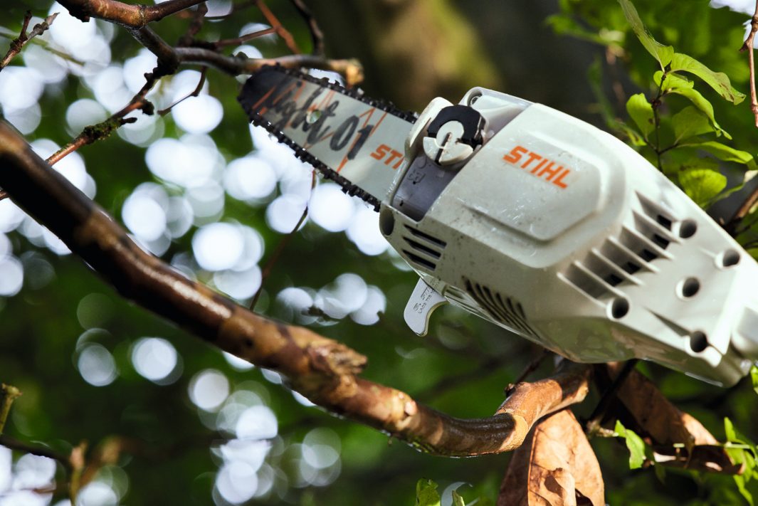 STIHL HTA86 36V (AP) 300mm Telescopic Pole Pruner (Body)